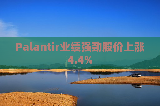 Palantir业绩强劲股价上涨4.4%