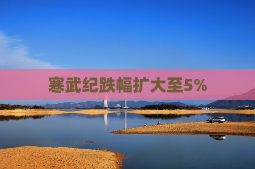 寒武纪跌幅扩大至5%