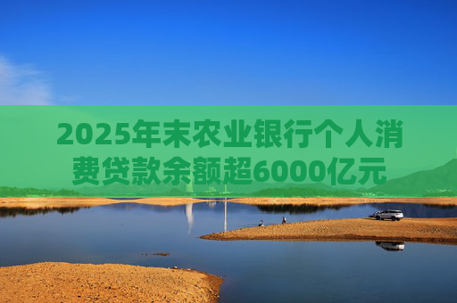 2025年末农业银行个人消费贷款余额超6000亿元