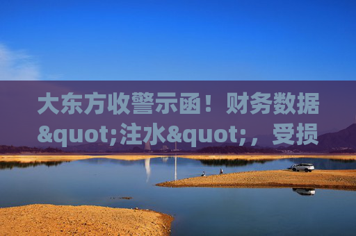 大东方收警示函！财务数据"注水"，受损股民可索赔维权