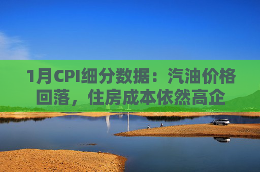 1月CPI细分数据：汽油价格回落，住房成本依然高企
