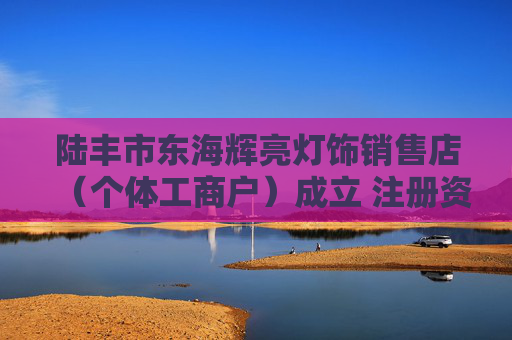 陆丰市东海辉亮灯饰销售店（个体工商户）成立 注册资本1万人民币