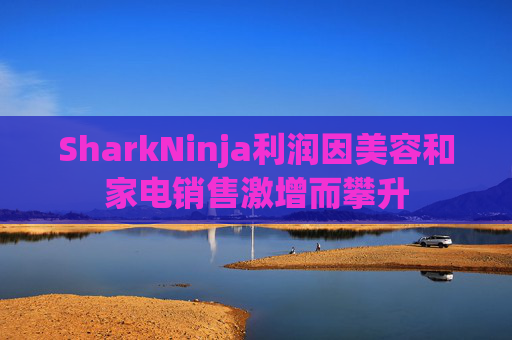 SharkNinja利润因美容和家电销售激增而攀升
