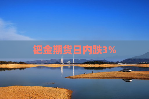 钯金期货日内跌3%