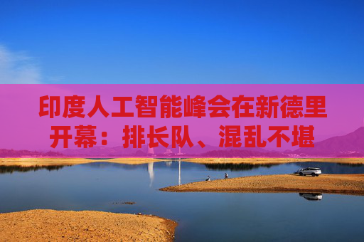 印度人工智能峰会在新德里开幕：排长队、混乱不堪