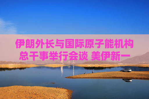 伊朗外长与国际原子能机构总干事举行会谈 美伊新一轮谈判即将展开