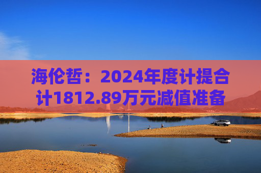 海伦哲:2024年度计提合计1812.89万元减值准备