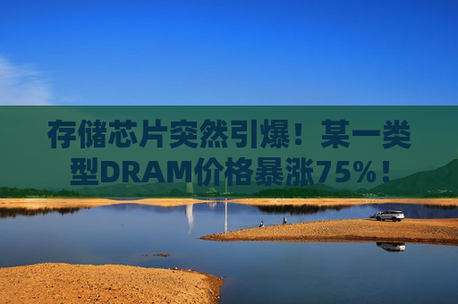 存储芯片突然引爆！某一类型DRAM价格暴涨75%！