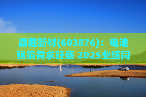 鼎胜新材(603876)：电池铝箔需求旺盛 2025业绩同比高增