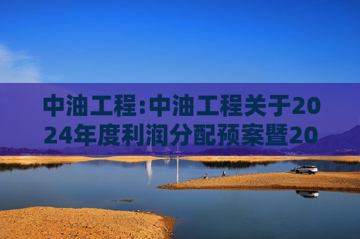 中油工程:中油工程关于2024年度利润分配预案暨2025年中期现金分红有关事项授权的公告