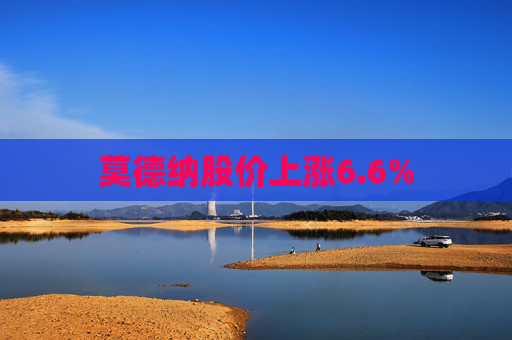 莫德纳股价上涨6.6%