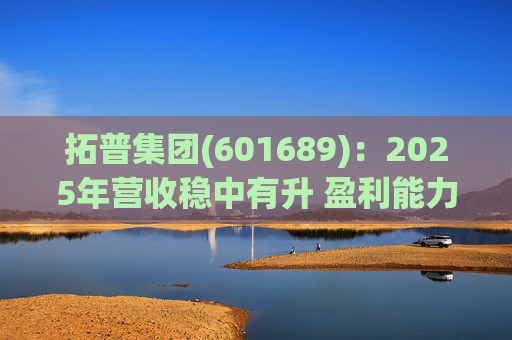 拓普集团(601689)：2025年营收稳中有升 盈利能力短期承压
