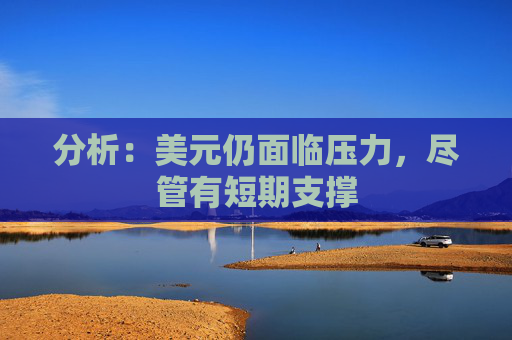 分析：美元仍面临压力，尽管有短期支撑
