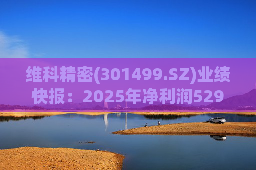 维科精密(301499.SZ)业绩快报：2025年净利润5293.82万元 同比增长16.85%