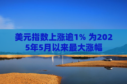 美元指数上涨逾1% 为2025年5月以来最大涨幅