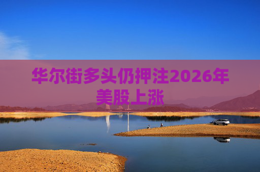 华尔街多头仍押注2026年美股上涨