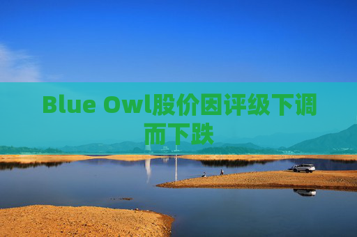 Blue Owl股价因评级下调而下跌 第1张 Blue Owl股价因评级下调而下跌 第1张