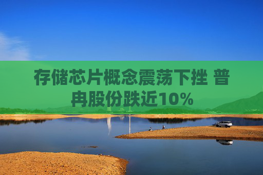 存储芯片概念震荡下挫 普冉股份跌近10%