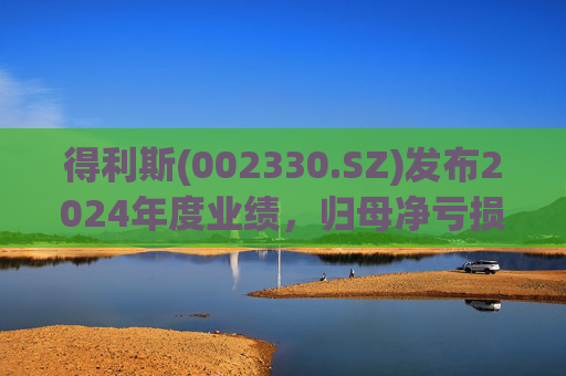 得利斯(002330.SZ)发布2024年度业绩,归母净亏损3367万元