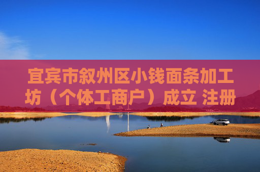 宜宾市叙州区小钱面条加工坊（个体工商户）成立 注册资本30万人民币
