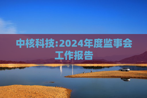 中核科技:2024年度监事会工作报告