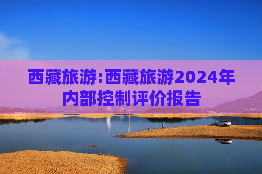 西藏旅游:西藏旅游2024年内部控制评价报告