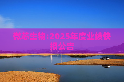 微芯生物:2025年度业绩快报公告  第1张