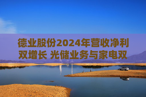 德业股份2024年营收净利双增长 光储业务与家电双轮驱动发力