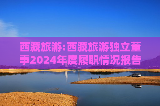 西藏旅游:西藏旅游独立董事2024年度履职情况报告（高金波）  第1张