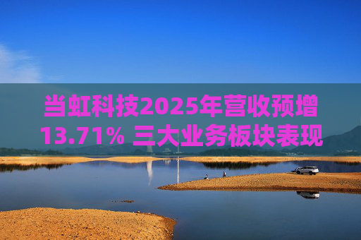 当虹科技2025年营收预增13.71% 三大业务板块表现亮眼