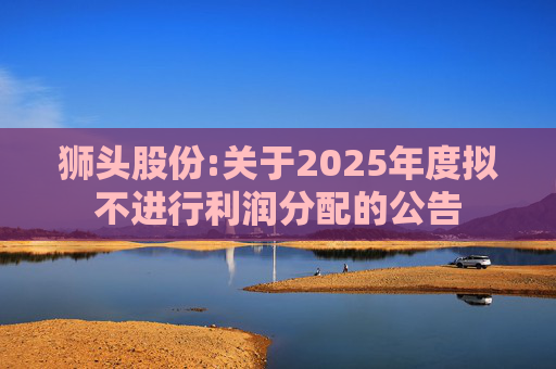 狮头股份:关于2025年度拟不进行利润分配的公告