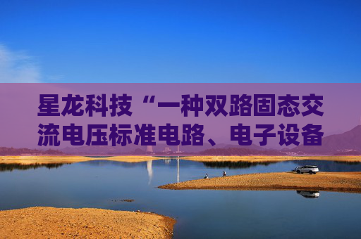 星龙科技“一种双路固态交流电压标准电路、电子设备”专利获授权 第1张 星龙科技“一种双路固态交流电压标准电路、电子设备”专利获授权 第1张