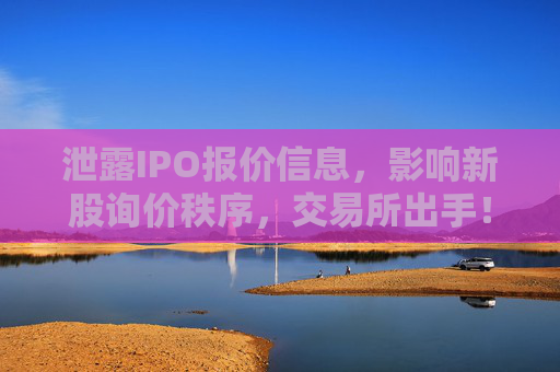 泄露IPO报价信息，影响新股询价秩序，交易所出手！