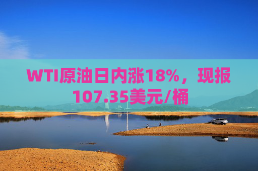 WTI原油日内涨18%，现报107.35美元/桶  第1张