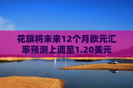花旗将未来12个月欧元汇率预测上调至1.20美元