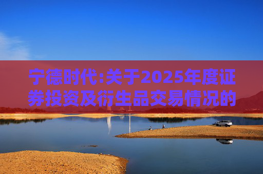 宁德时代:关于2025年度证券投资及衍生品交易情况的专项说明