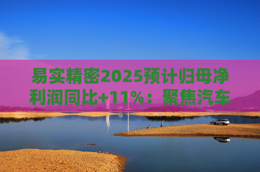 易实精密2025预计归母净利润同比+11%：聚焦汽车精密金属零部件研发销售，设立+增资子公司推进海外布局  第1张