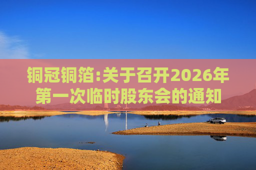 铜冠铜箔:关于召开2026年第一次临时股东会的通知