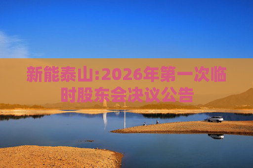 新能泰山:2026年第一次临时股东会决议公告