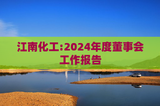 江南化工:2024年度董事会工作报告