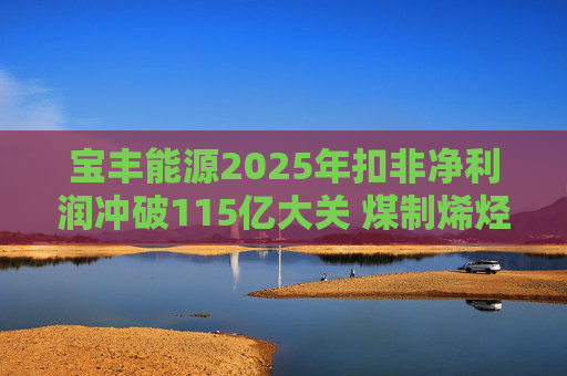 宝丰能源2025年扣非净利润冲破115亿大关 煤制烯烃龙头迎高光时刻