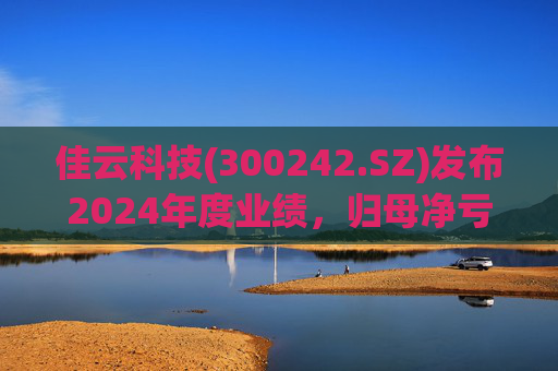 佳云科技(300242.SZ)发布2024年度业绩,归母净亏损1.06亿元,扩大10.93%