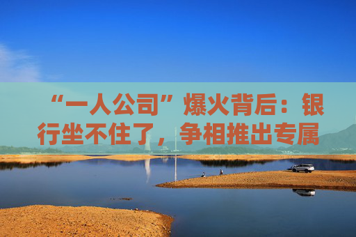 “一人公司”爆火背后：银行坐不住了，争相推出专属金融方案  第1张