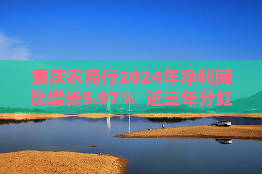重庆农商行2024年净利同比增长5.97% 近三年分红比例均超30% 第1张 重庆农商行2024年净利同比增长5.97% 近三年分红比例均超30% 第1张