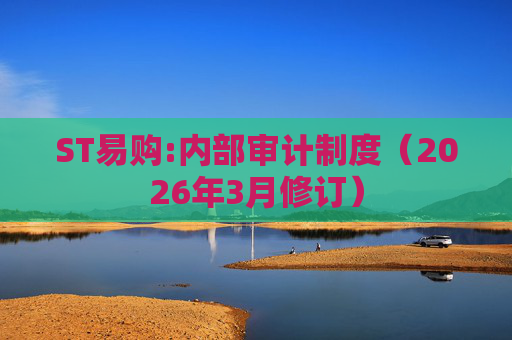 ST易购:内部审计制度（2026年3月修订）