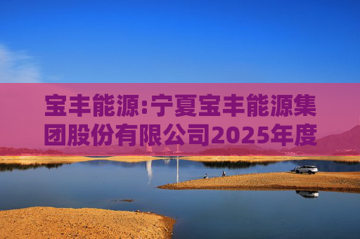 宝丰能源:宁夏宝丰能源集团股份有限公司2025年度独立董事述职报告（孙积禄）