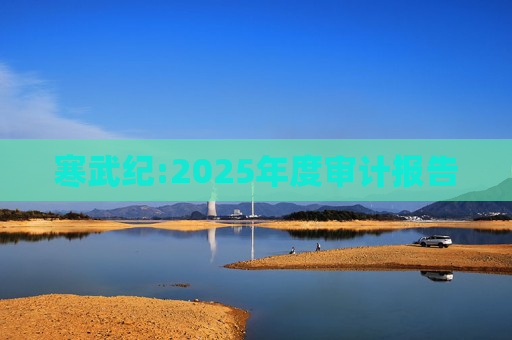 寒武纪:2025年度审计报告