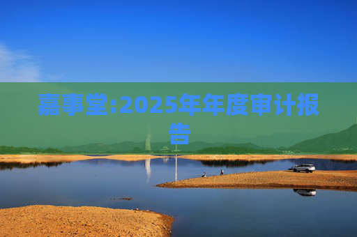 嘉事堂:2025年年度审计报告