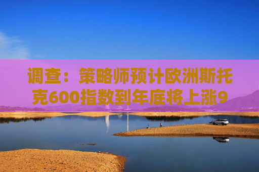 调查：策略师预计欧洲斯托克600指数到年底将上涨9.1%