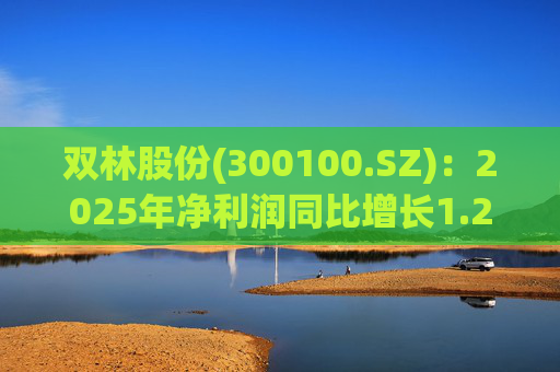 双林股份(300100.SZ):2025年净利润同比增长1.25% 拟10股派1元 第1张 双林股份(300100.SZ):2025年净利润同比增长1.25% 拟10股派1元 第1张